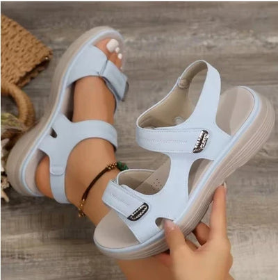 https://cdn.shopify.com/s/files/1/0898/0122/8611/files/S8cc0bc62f7394b51aeed7cb66aa85274P.webp?v=1742205854